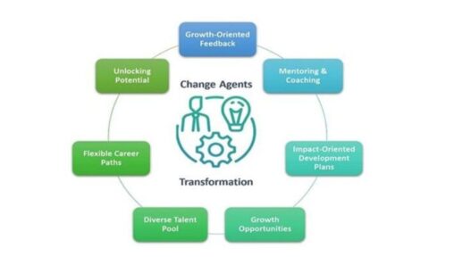 holistic-organizational-talent-development:-a-business-imperative-for-transformation