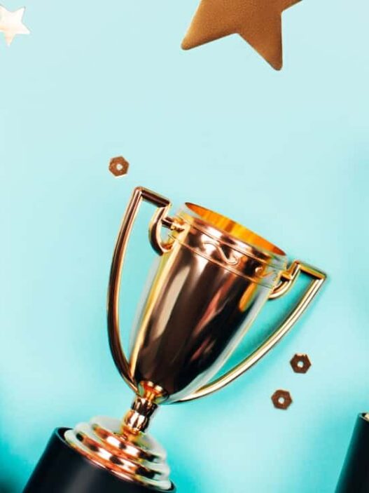 congratulations-to-the-swenexters-who-received-a-2023-swenext-we-local-award!